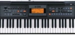 Roland E09IN Arranger Keyboard